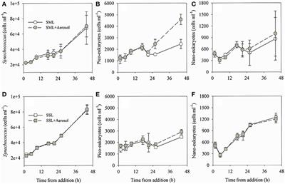 The Impact of Dry Atmospheric Deposition on the Sea-Surface Microlayer in the SE Mediterranean Sea: An Experimental Approach